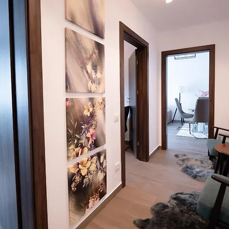 Ontop Apartment *
